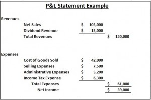 P and L Statement Example